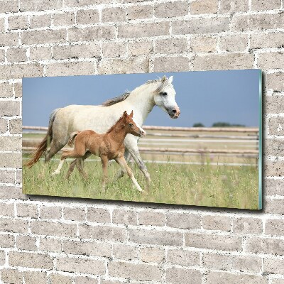 Foto-obraz szklany Klacz ze źrebięciem