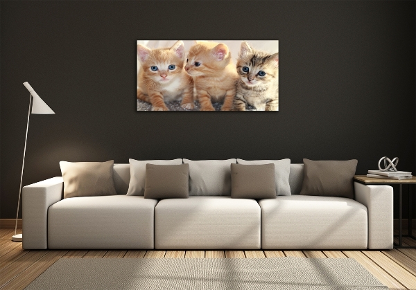 Foto schilderij op glas Kleine katjes