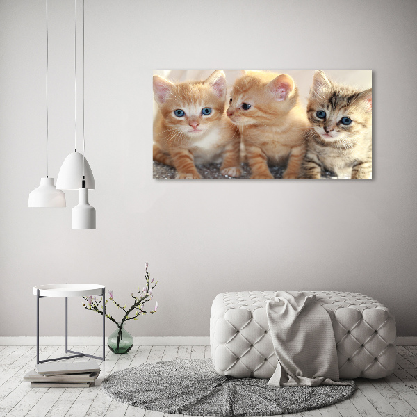 Foto schilderij op glas Kleine katjes