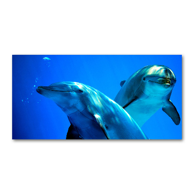 Schilderij op glas Twee dolfijnen