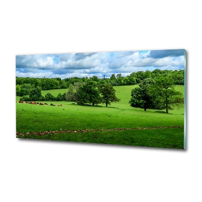 Glazen schilderij Groene heuvels