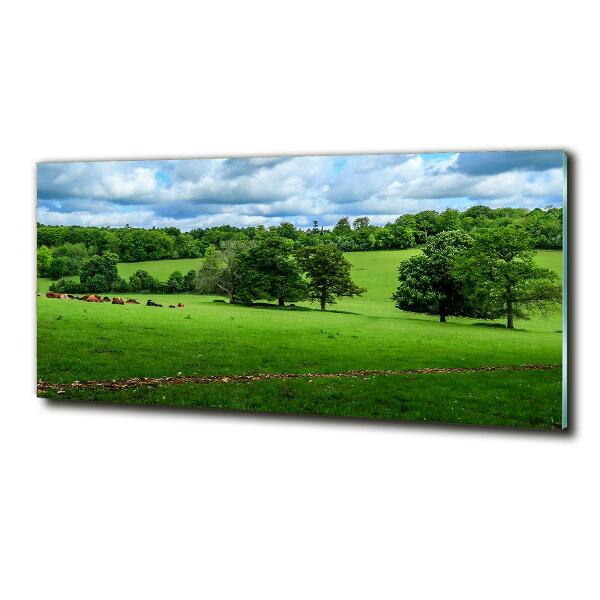 Glazen schilderij Groene heuvels