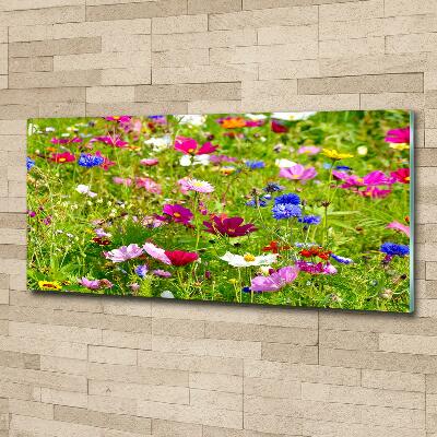 Schilderij glas Wilde bloemen