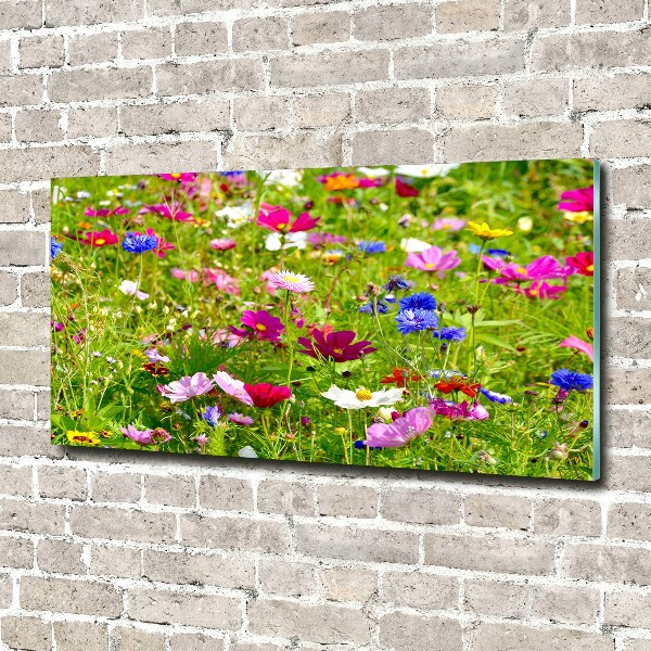 Schilderij glas Wilde bloemen