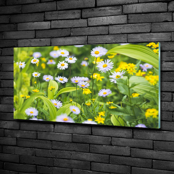 Glazen schilderij Madeliefjes