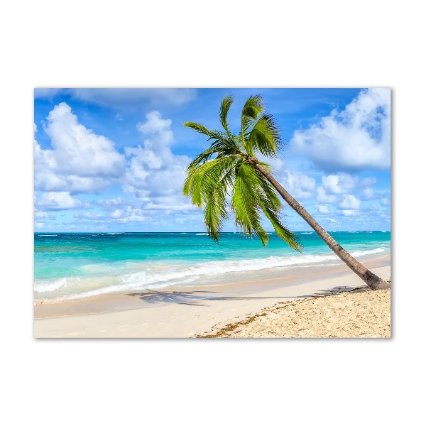 Glazen schilderij Tropisch strand