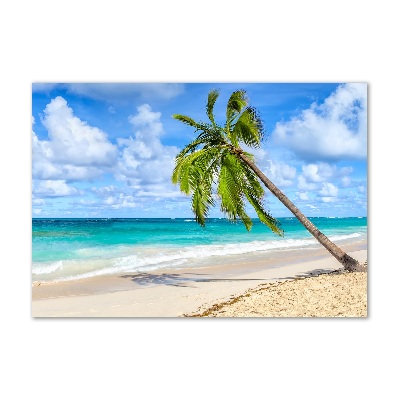 Glazen schilderij Tropisch strand