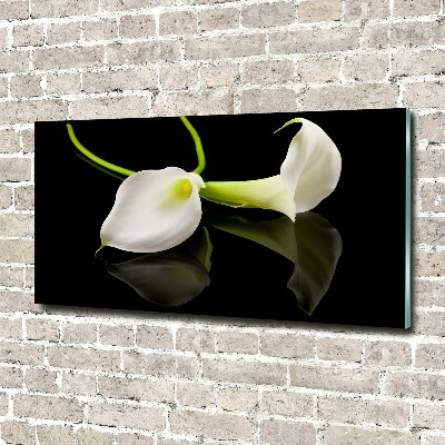 Foto obraz zdjęcie szkło hartowane Kalia