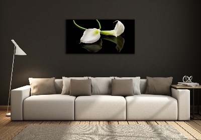 Schilderij op glas Calla