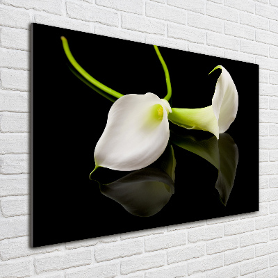 Schilderij op glas Calla
