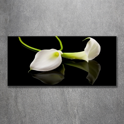 Schilderij op glas Calla