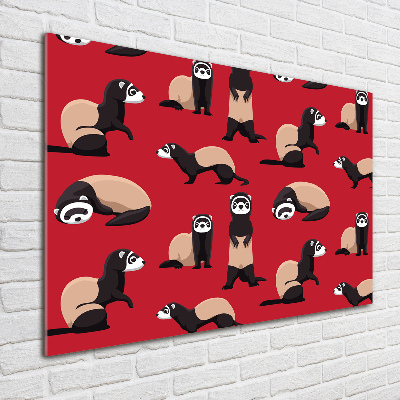 Foto-obraz szkło hartowane Tchórzofretka