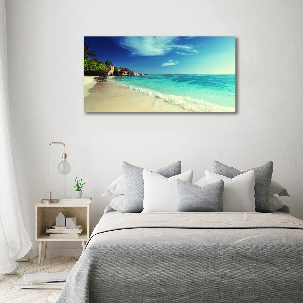 Schilderij op glas strand op de Seychellen