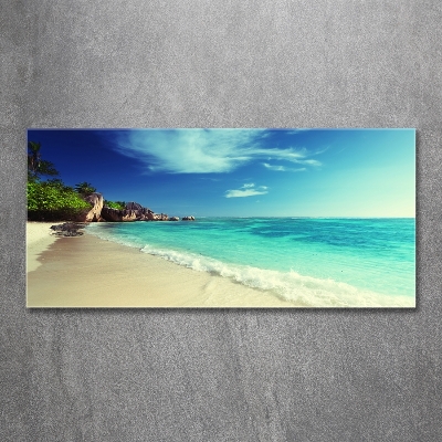 Schilderij op glas strand op de Seychellen
