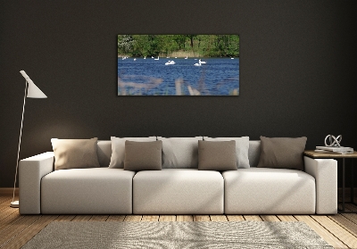 Foto-obraz szkło hartowane Białe łabędzie