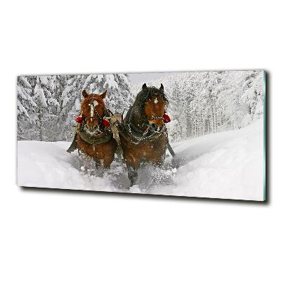 Foto-obraz zdjęcie szkło hartowane Kulig