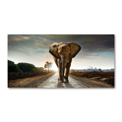 Schilderij glas Lopende olifant