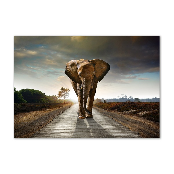 Schilderij glas Lopende olifant