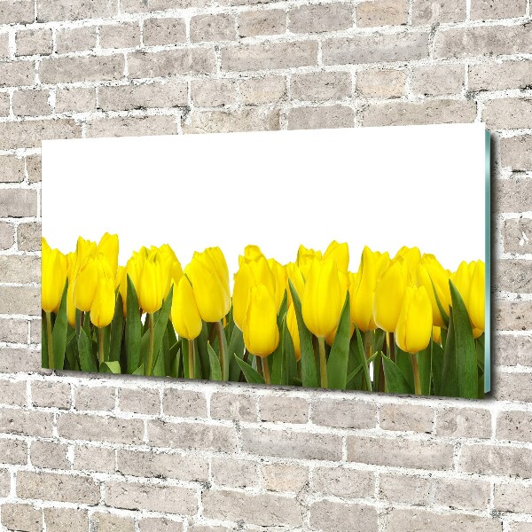Glazen schilderij Gele tulpen