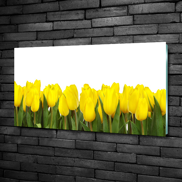 Glazen schilderij Gele tulpen