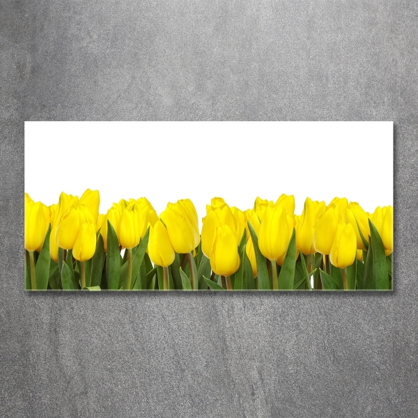 Glazen schilderij Gele tulpen