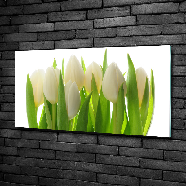Schilderij op glas Tulpen