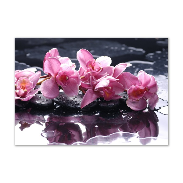 Schilderij glas Roze orchidee