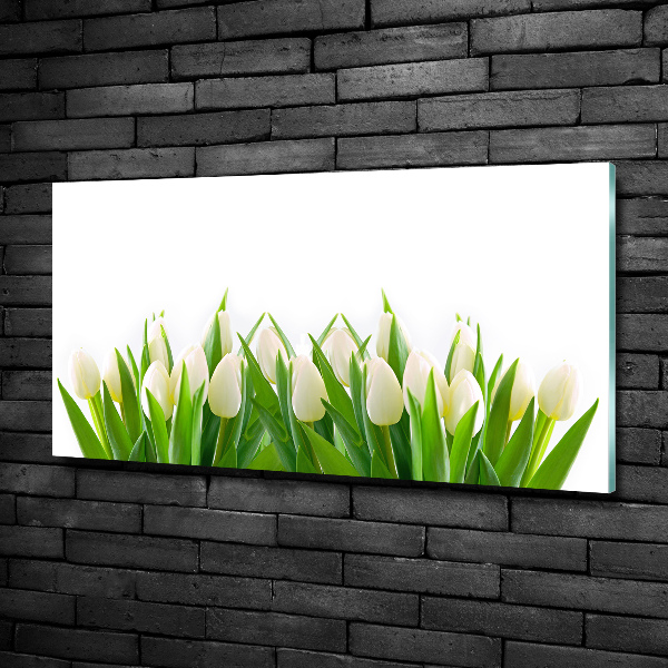 Foto schilderij op glas Witte tulpen