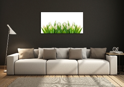Foto schilderij op glas Witte tulpen