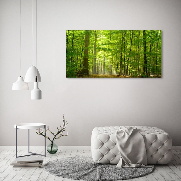 Foto schilderij op glas Loofbos