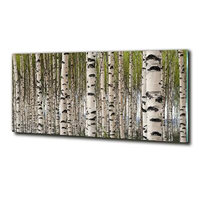 Schilderij glas Berkenbos