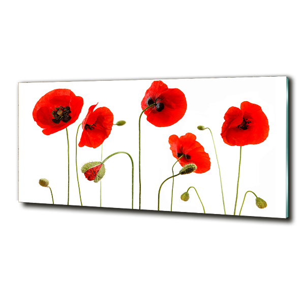 Schilderij op glas Klaprozen