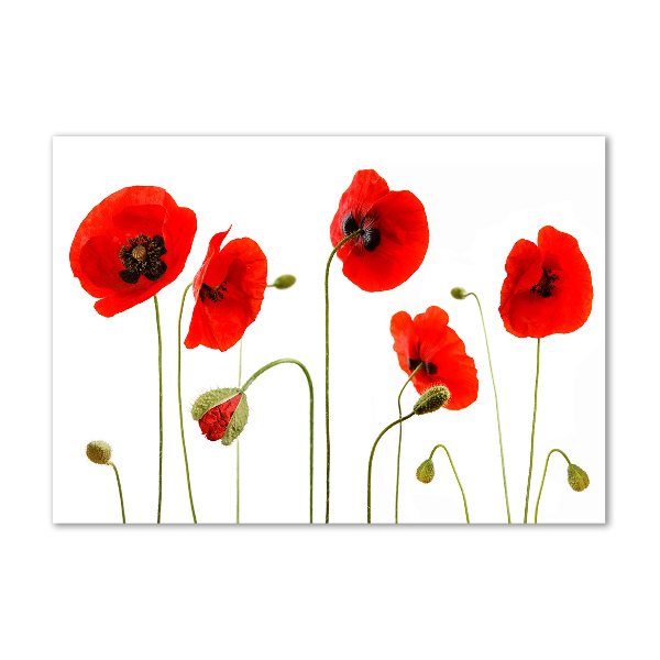 Schilderij op glas Klaprozen