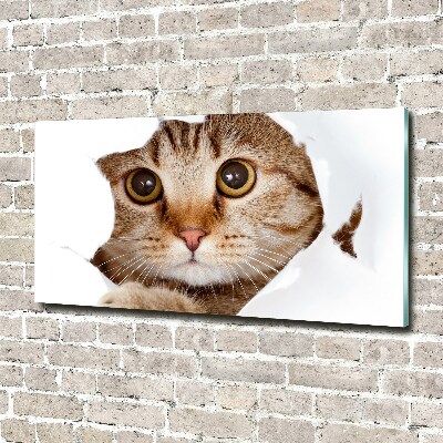 Glazen schilderij Kat