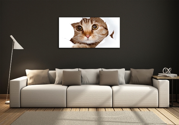 Foto-obraz zdjęcie szkło hartowane Kot