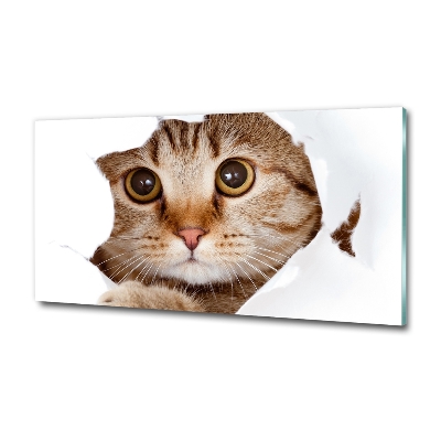 Glazen schilderij Kat