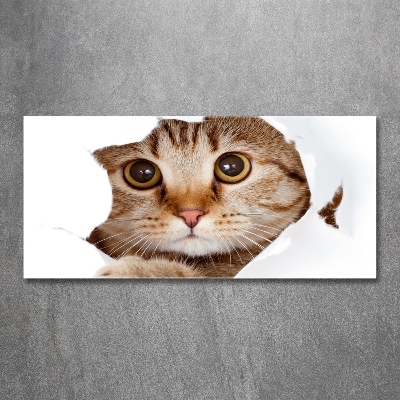 Glazen schilderij Kat