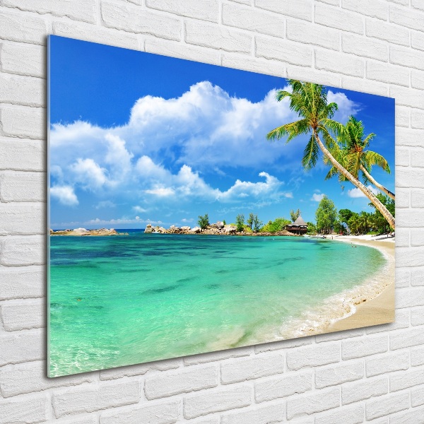 Schilderij op glas strand op de Seychellen