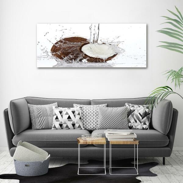 Glazen schilderij Kokosnoot