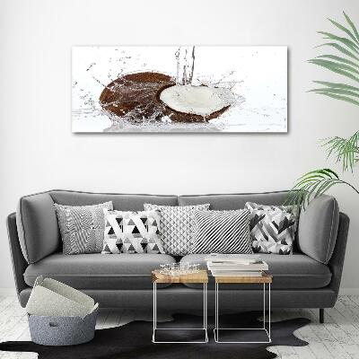 Glazen schilderij Kokosnoot