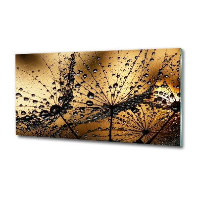 Schilderij op glas Paardenbloemzaden