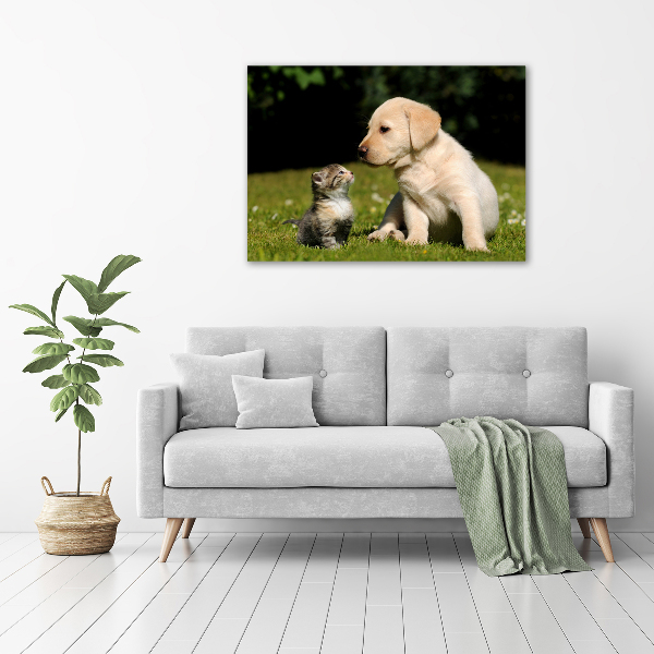 Schilderij op glas Hond en kat in de wei