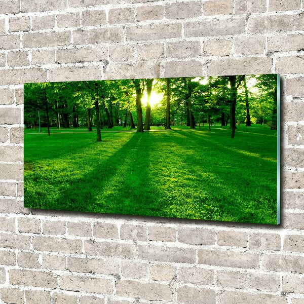 Glazen schilderij Gras in het park