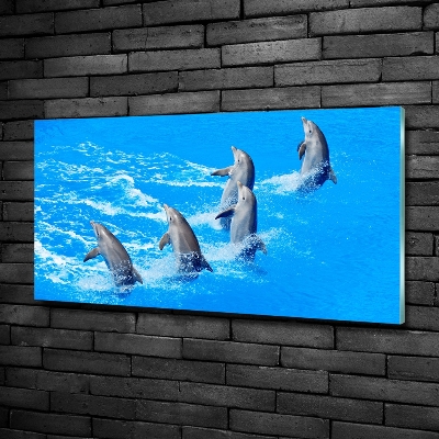 Glazen schilderij Dolfijnen