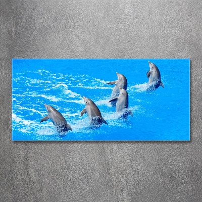 Glazen schilderij Dolfijnen