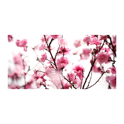 Glazen schilderij Pruimenbloesem