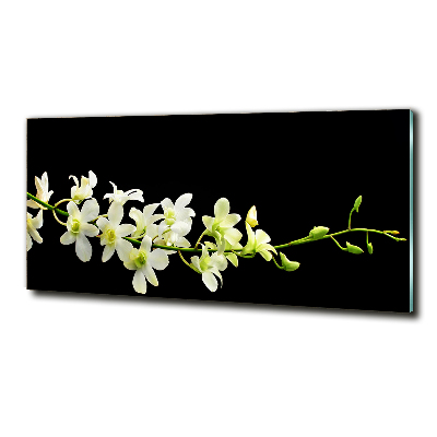 Foto schilderij op glas Orchidee