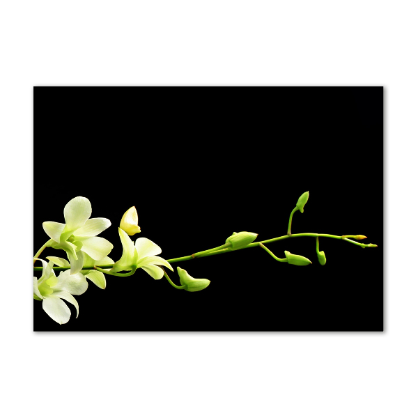 Foto schilderij op glas Orchidee