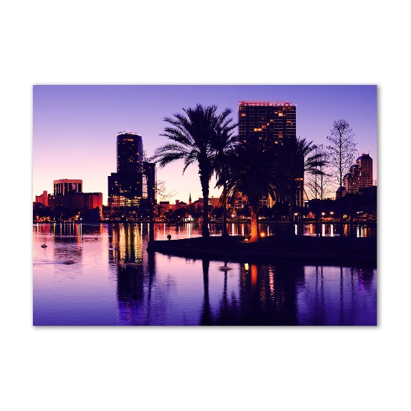 Glazen schilderij Orlando, VS