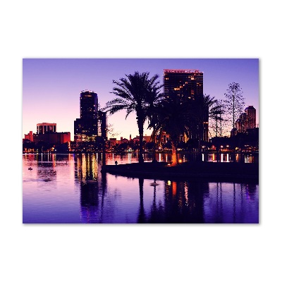 Glazen schilderij Orlando, VS